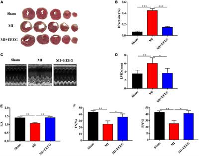 Edgeworthia gardneri (Wall.) Meisn. extract protects against myocardial infarction by inhibiting NF-κB-and MAPK-mediated endothelial inflammation